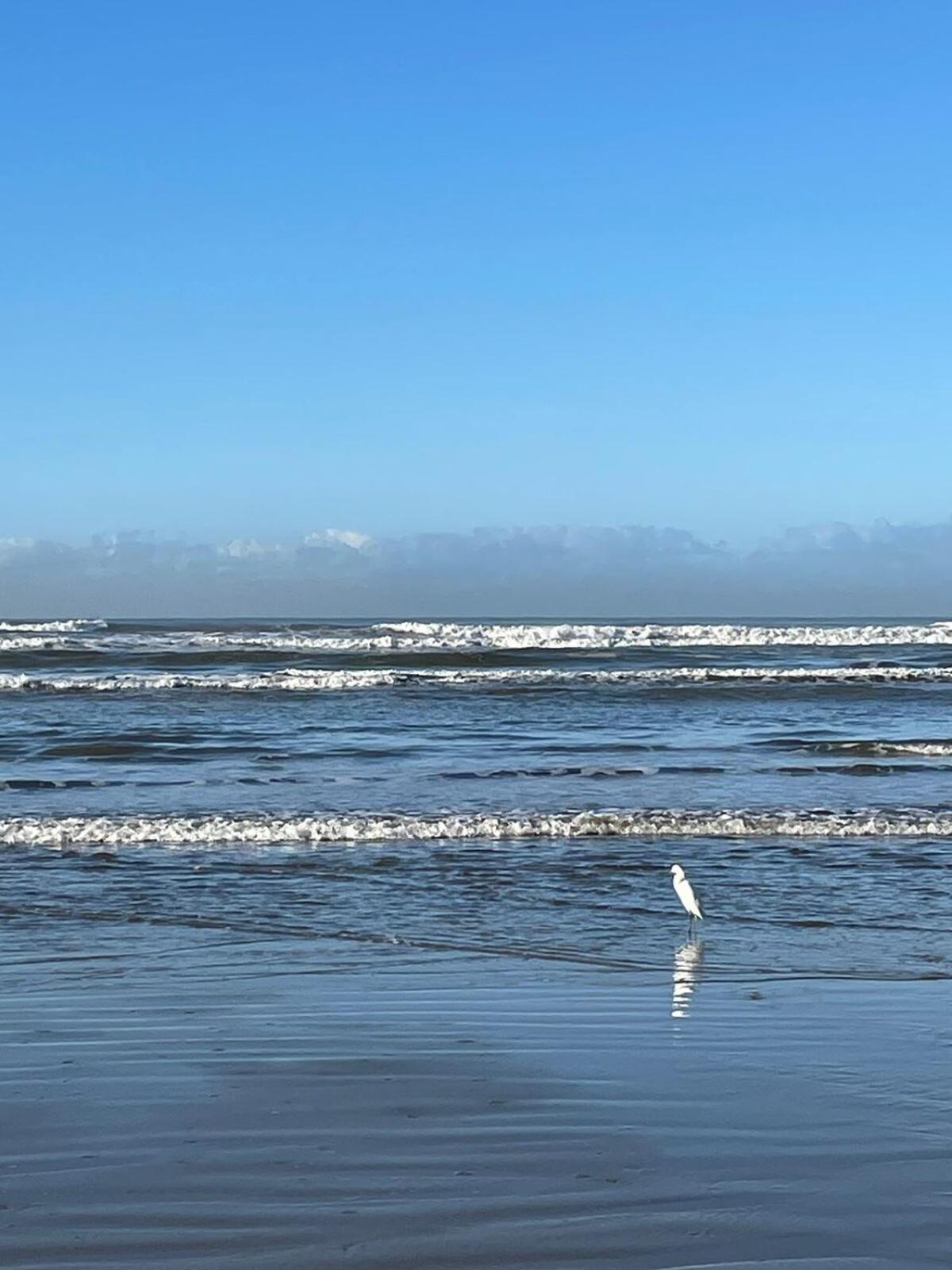 Habitat - Predio De Frente Pro Mar Daire Praia Grande Dış mekan fotoğraf